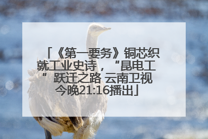 《第一要务》铜芯织就工业史诗，“昆电工”跃迁之路 云南卫视今晚21:16播出