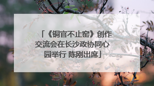 《铜官不止窑》创作交流会在长沙政协同心园举行 陈刚出席