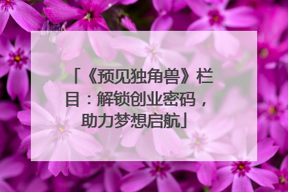 《预见独角兽》栏目：解锁创业密码，助力梦想启航