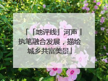 「地评线」河声丨执笔融合发展，描绘城乡共富美景