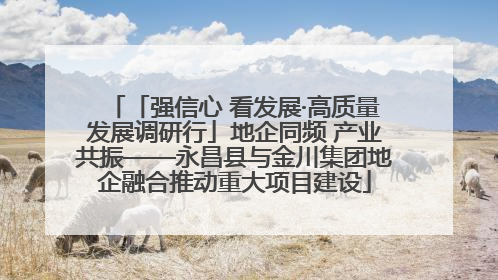 「强信心 看发展·高质量发展调研行」地企同频 产业共振——永昌县与金川集团地企融合推动重大项目建设