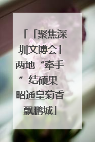 「聚焦深圳文博会」两地“牵手”结硕果 昭通皇菊香飘鹏城