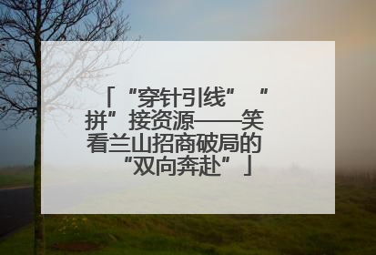 “穿针引线”“拼”接资源——笑看兰山招商破局的“双向奔赴”