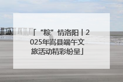 “粽”情洛阳丨2025年嵩县端午文旅活动精彩纷呈