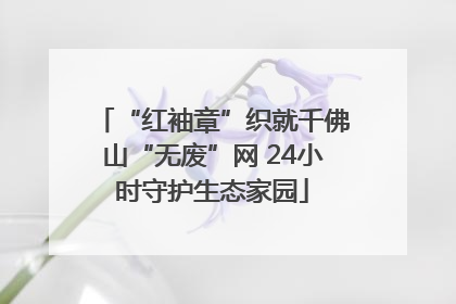 “红袖章”织就千佛山“无废”网 24小时守护生态家园