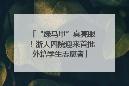 “绿马甲”真亮眼！浙大四院迎来首批外籍学生志愿者
