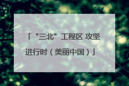 “三北”工程区 攻坚进行时（美丽中国）