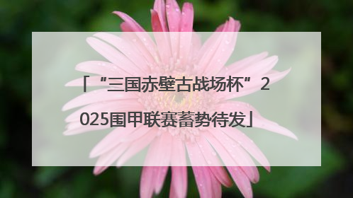 “三国赤壁古战场杯”2025围甲联赛蓄势待发