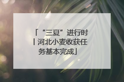 “三夏”进行时丨河北小麦收获任务基本完成