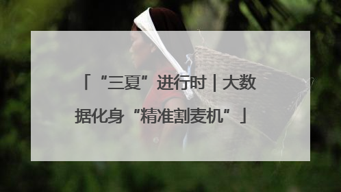 “三夏”进行时｜大数据化身“精准割麦机”