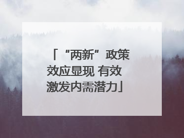 “两新”政策效应显现 有效激发内需潜力