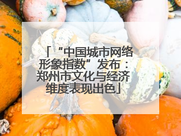 “中国城市网络形象指数”发布：郑州市文化与经济维度表现出色