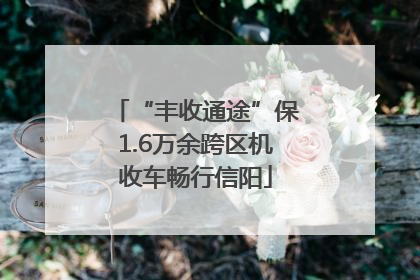 “丰收通途”保1.6万余跨区机收车畅行信阳