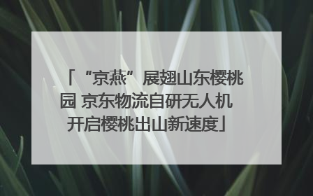 “京燕”展翅山东樱桃园 京东物流自研无人机开启樱桃出山新速度