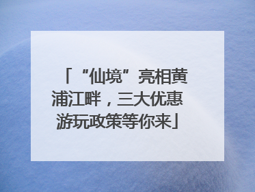 “仙境”亮相黄浦江畔，三大优惠游玩政策等你来