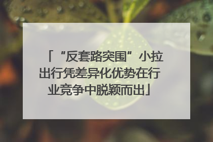 “反套路突围”小拉出行凭差异化优势在行业竞争中脱颖而出