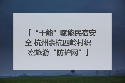 “十能”赋能民宿安全 杭州余杭四岭村织密旅游“防护网”