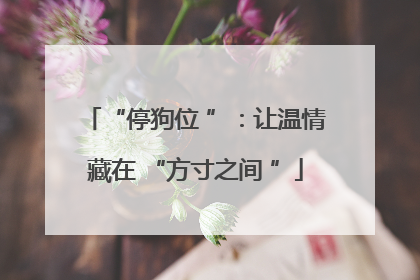 “停狗位 ”：让温情藏在 “方寸之间 ”