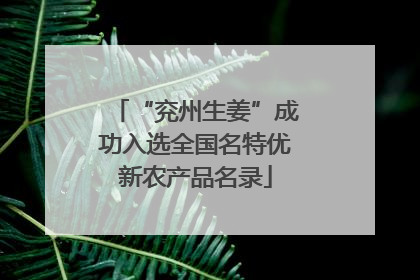 “兖州生姜”成功入选全国名特优新农产品名录