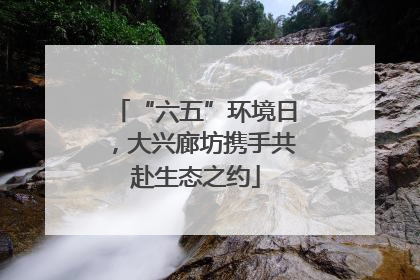 “六五”环境日，大兴廊坊携手共赴生态之约