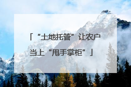 “土地托管”让农户当上“甩手掌柜”