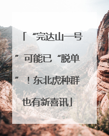 “完达山一号”可能已“脱单”！东北虎种群也有新喜讯