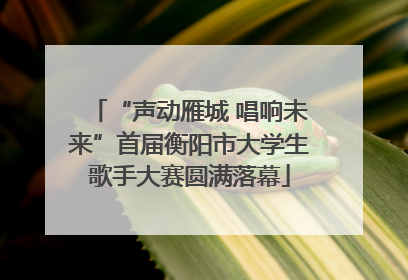 “声动雁城 唱响未来”首届衡阳市大学生歌手大赛圆满落幕