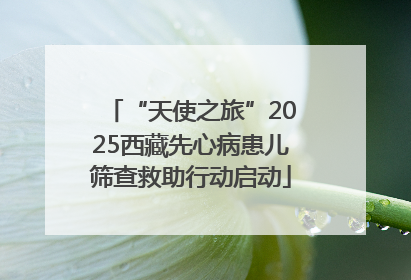 “天使之旅”2025西藏先心病患儿筛查救助行动启动