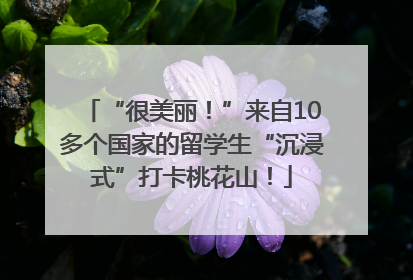 “很美丽！”来自10多个国家的留学生“沉浸式”打卡桃花山！