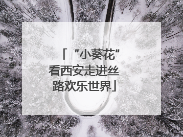 “小葵花”看西安走进丝路欢乐世界