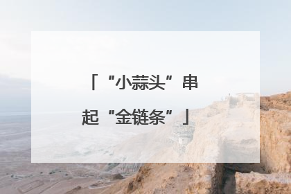 “小蒜头”串起“金链条”