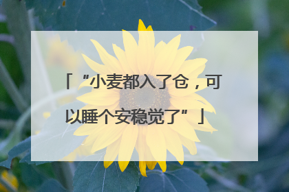 “小麦都入了仓，可以睡个安稳觉了”