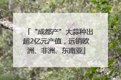 “成都产”大蒜种出超2亿元产值，远销欧洲、非洲、东南亚