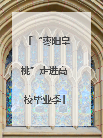 “枣阳皇桃”走进高校毕业季