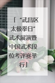 “武昌区太极拳日”武术展演暨中国武术段位考评赛举行