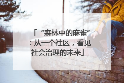 “森林中的麻雀”：从一个社区，看见社会治理的未来