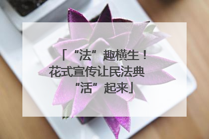“法”趣横生！花式宣传让民法典“活”起来
