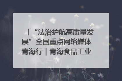 “法治护航高质量发展”全国重点网络媒体青海行｜青海食品工业协会：架起“青字号”美食的产业化桥梁