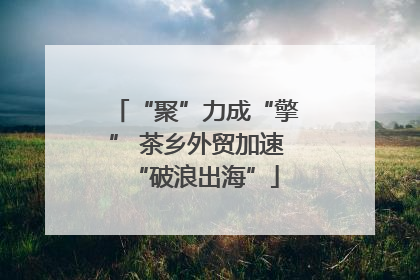 “聚”力成“擎” 茶乡外贸加速“破浪出海”
