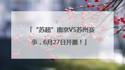 “苏超”南京VS苏州赛事，6月27日开票！