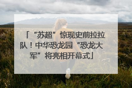“苏超”惊现史前拉拉队！中华恐龙园“恐龙大军”将亮相开幕式