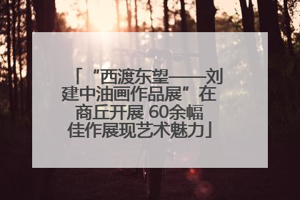 “西渡东望——刘建中油画作品展”在商丘开展 60余幅佳作展现艺术魅力