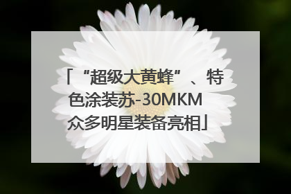 “超级大黄蜂”、特色涂装苏-30MKM 众多明星装备亮相