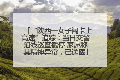 “陕西一女子闯卡上高速”追踪：当日交警沿线巡查截停 家属称其精神异常，已送医