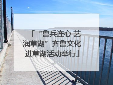 “鲁兵连心 艺润草湖”齐鲁文化进草湖活动举行