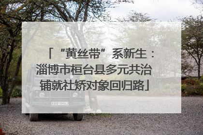 “黄丝带”系新生：淄博市桓台县多元共治铺就社矫对象回归路