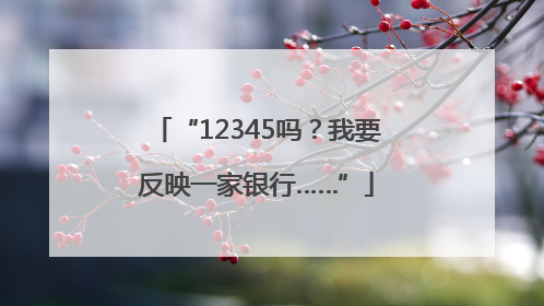 “12345吗？我要反映一家银行……”