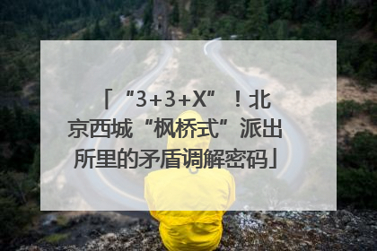 “3+3+X”！北京西城“枫桥式”派出所里的矛盾调解密码