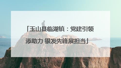 玉山县临湖镇：党建引领添助力 银发先锋展担当