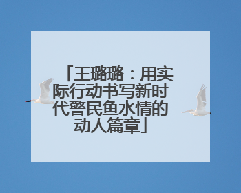 王璐璐：用实际行动书写新时代警民鱼水情的动人篇章
